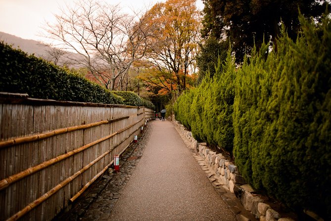 Kyoto Bamboo Forest Electric Bike Tour - What to Expect on the Tour