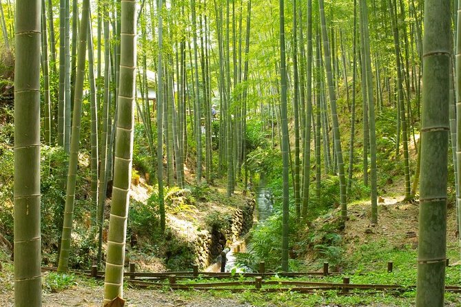 Kyoto : Immersive Arashiyama and Fushimi Inari by Private Vehicle - Private Vehicle and Accessibility