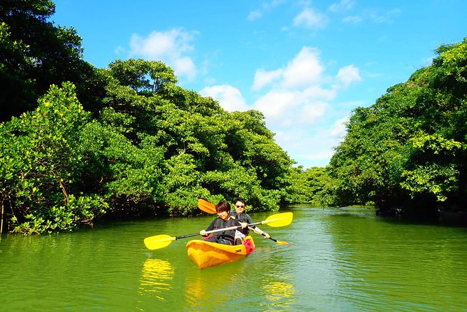 Miyara River 90-Minute Small-Group SUP or Canoe Tour  - Ishigaki - Cancellation and Refund Policy