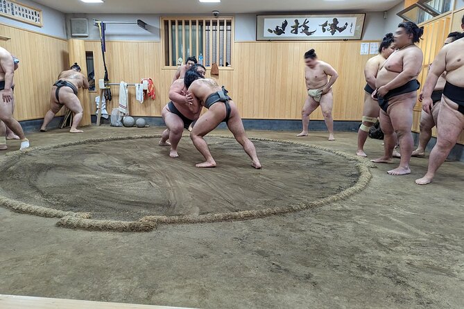 Morning Sumo Practice Viewing in Tokyo - Sumo History and Ranking