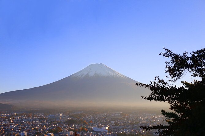 Mt. Fuji and Lake Kawaguchi Day Trip With Private Car - What to Expect and Essentials