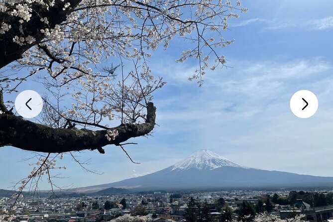 Mt. Fuji, Hakone Full-Day Private Tour With English Driver Guide - Tour Experience Highlights