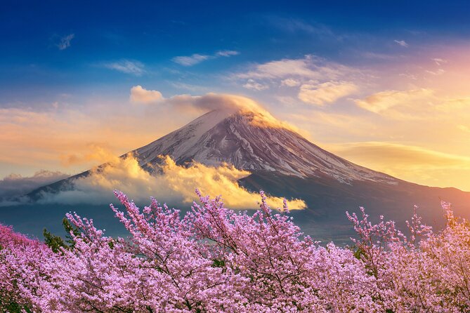 Mt. Fuji Private Full-Day Tour From Tokyo With Hotel Transfers  - Asakusa - Scenic Destinations and Attractions