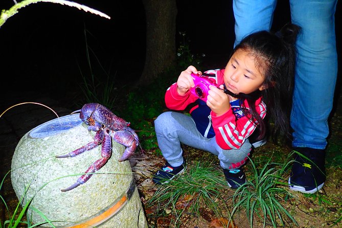 [Okinawa Miyako] Natural Planetarium! Starry Sky & Subtropical Jungle Night Tour - Additional Tour Information and Codes