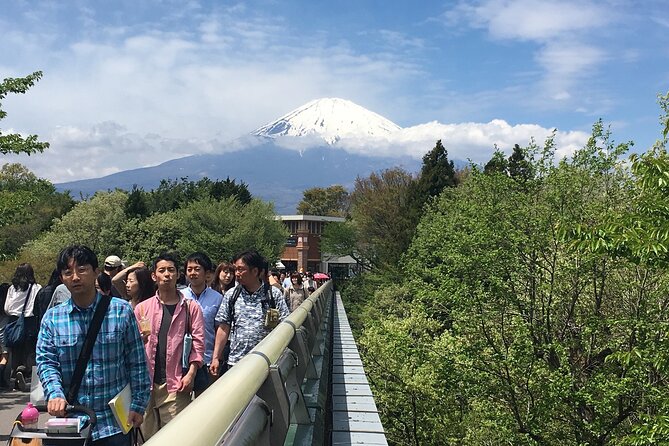 Private Car Mt Fuji and Gotemba Outlet in One Day From Tokyo - Itinerary and Transportation