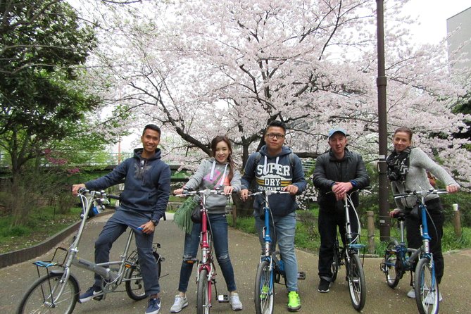 Tokyo by Bike: Skytree, Kiyosumi Garden and Sumo Stadium - What to Expect on Tour