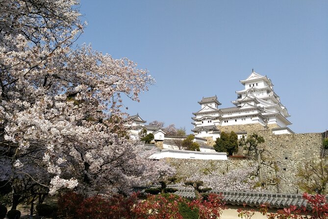 2.5 Hour Private History and Culture Tour in Himeji Castle - Tour Logistics and Timing