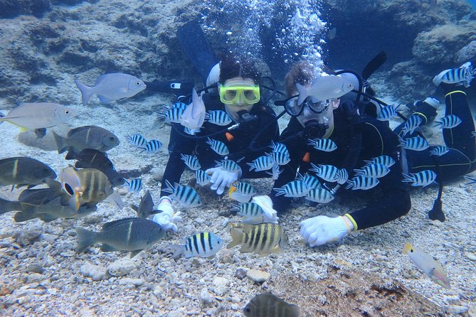 Blue Cave Experience Diving! [Okinawa Prefecture] Feeding & Photo Image Free! English, Chinese Guide - Tour Inclusions and Amenities