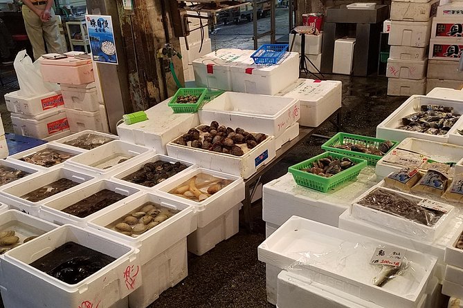 Deep Dive: Osaka Food Markets From Local to Luxurious! - Reviews and Ratings From Participants