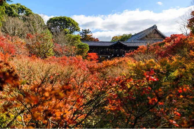 Early Bird E-Biking Through East Kyoto - Planning Your Kyoto E-Biking Adventure