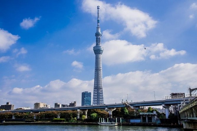 Freely Set up Plans Guided Private Tours in Tokyo - Convenient Pickup and Logistics