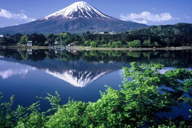 Full Day Private Tour To Mount Fuji Assisted By English Chauffeur - Tour Logistics and Transportation