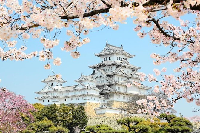 Himeji Half-Day Private Tour With Government-Licensed Guide - Expert Guided Tour Experience