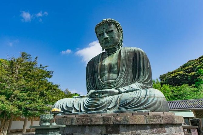 Kamakura 8 Hr Private Walking Tour With Licensed Guide From Tokyo - Reviews From Satisfied Travelers