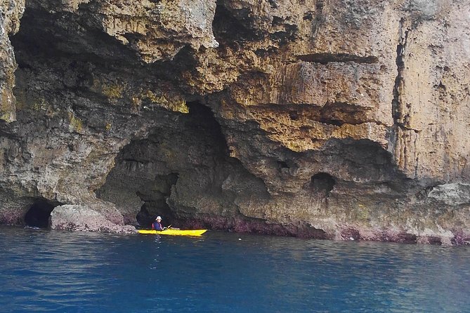 Kayak Mangroves or Coral Reef: Private Tour in North Okinawa - Booking and Availability