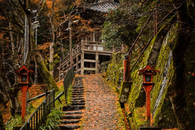 Kyoto Bamboo Forest Electric Bike Tour - Booking and Pricing Information