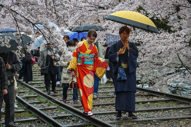 Kyoto Private Tour With a Local: 100% Personalized, See the City Unscripted - Reviews From Fellow Travelers