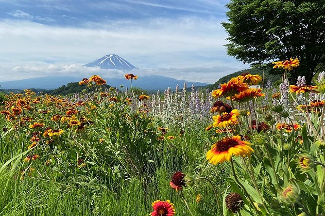 Lake Kawaguchiko Bike Tour - Safety Precautions and Rules