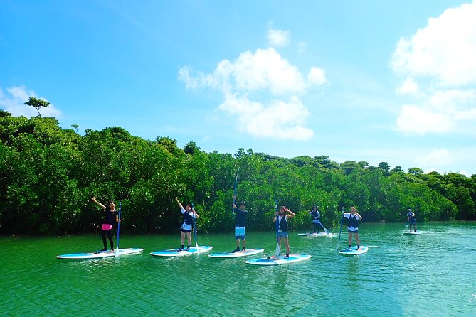 Miyara River 90-Minute Small-Group SUP or Canoe Tour  - Ishigaki - Reviews and Ratings Summary