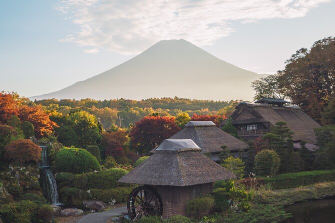 Mt Fuji :1-Day Private Tour With English-Speaking Driver - Expert Driver and Guide