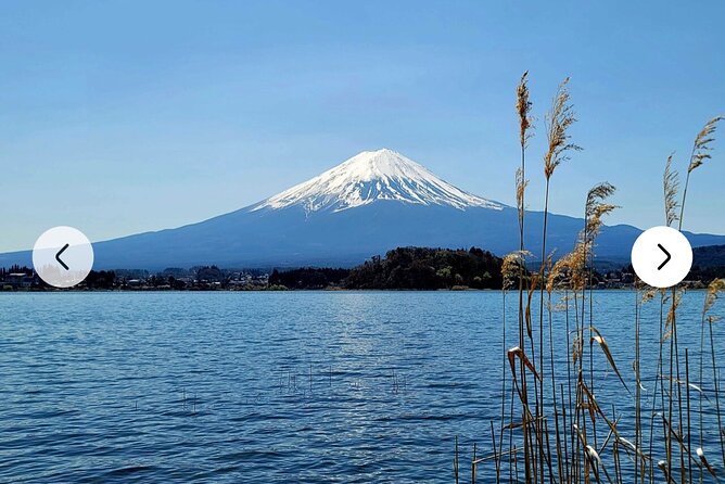 Mt. Fuji, Hakone Full-Day Private Tour With English Driver Guide - Common Tour Issues