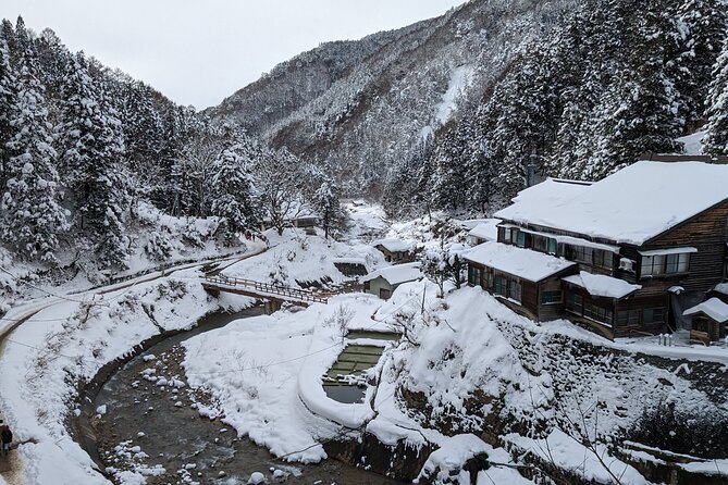 Nagano Snow Monkey 1 Day Tour With Beef Sukiyaki Lunch From Tokyo - Tour Experience and Memories