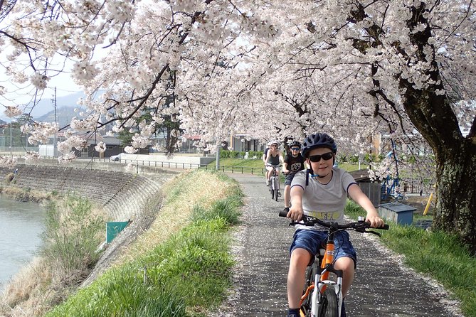 Private Afternoon Cycling Tour in Hida-Furukawa - Meeting Point and Logistics