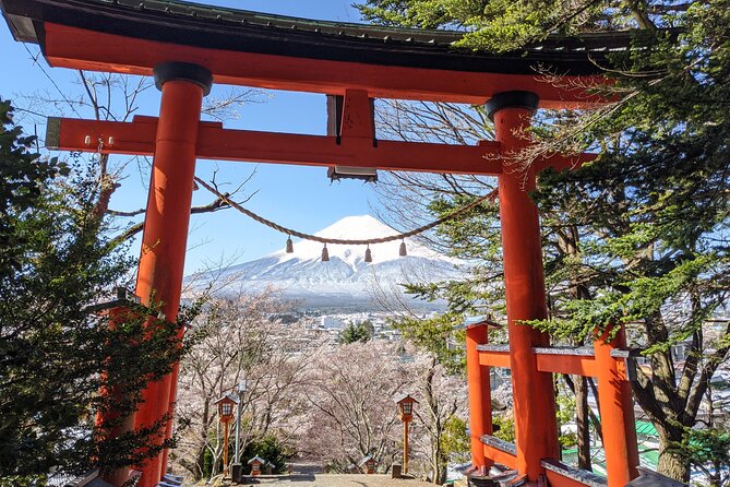 Private Car Mt Fuji and Gotemba Outlet in One Day From Tokyo - Cancellation and Refund Policy