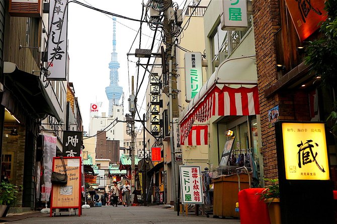 Private Customizable Walking Tour of Tokyo - Logistics and Meeting Points