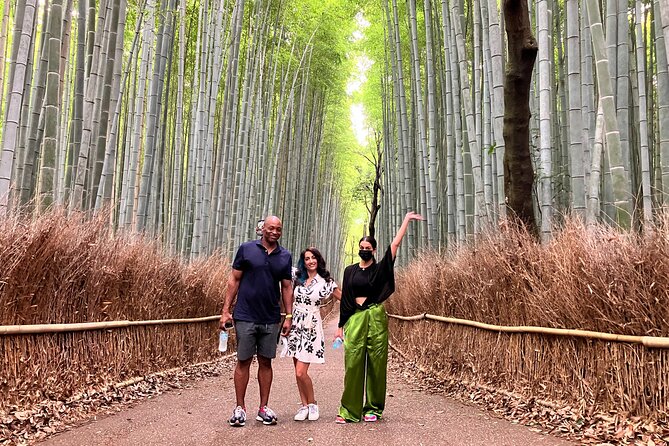 Private Kyoto Tour With Government-Licensed Guide and Vehicle (Max 7 Persons) - Tour Pricing and Booking