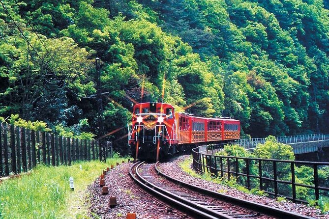 Sagano Romantic Train & Arashiyama, Kiyomizudera, Fushimi Inari Taisha Day Tour - Tour Challenges and Limitations