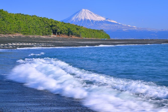 Sightseeing Around Shimizu Port for Cruise Ship Passengers - What to Expect on This Tour