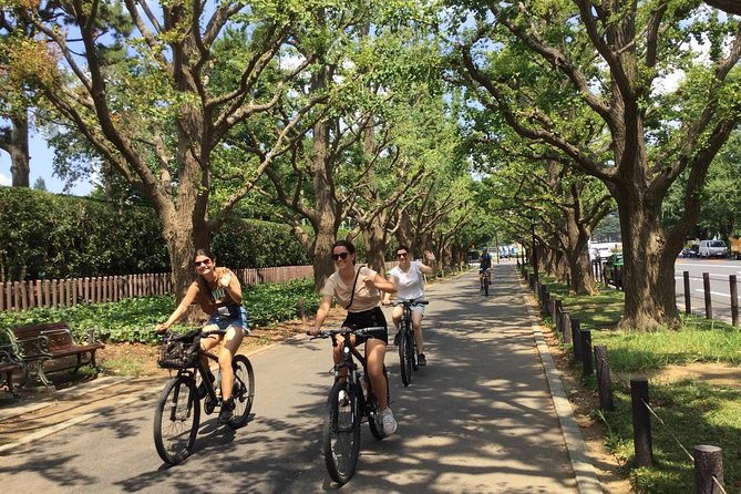 Small Group Cycling Tour in Tokyo - Exercise and Fun in Tokyo