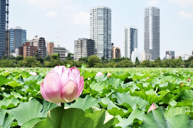 Tokyo Japanese Garden Lovers Private Tour With Government-Licensed Guide - Customer Reviews