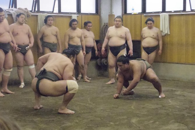 Tokyo Sumo Morning Practice Tour at Stable - Tour Logistics and Details