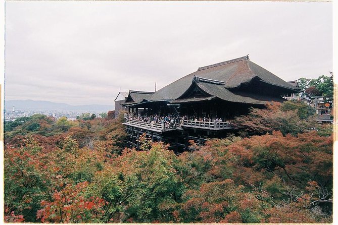 1 Day Private Kyoto Tour (Charter) - English Speaking Driver - Safety Features and Navigation