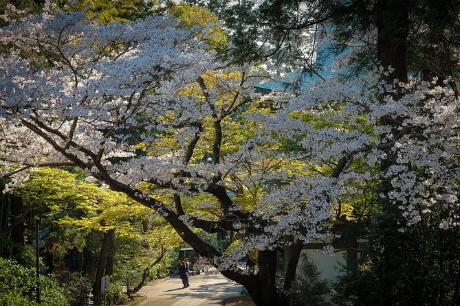 A Fun Day Out Discovering Kamakura - Final Words