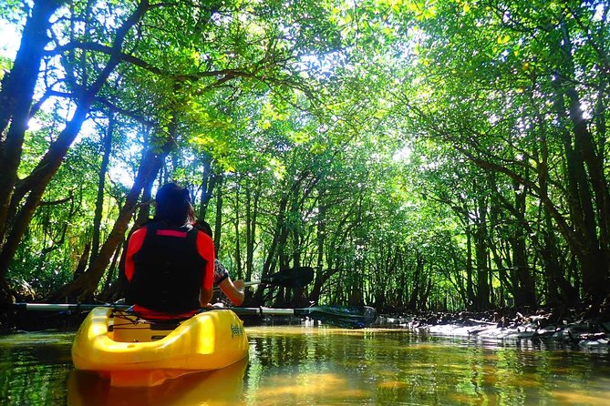 Iriomote Island Canoe/Sup Tour in a World Heritage Site - Preparation and Safety Tips