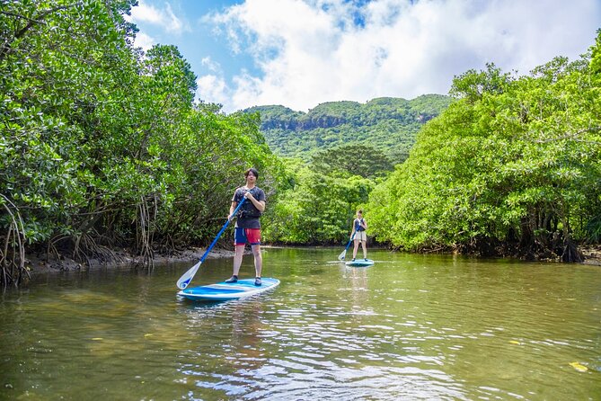 [Iriomote] SUP/Canoe Tour: Sightseeing on Yubujima Island - Tour Operator and Support