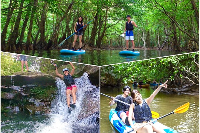 [Iriomote]SUP/Canoe Tour at Mangrove ForestSplash Canyoning!! - Just The Basics