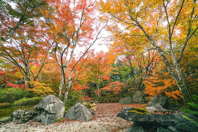 Kyoto Arashiyama Bamboo Forest & Garden Half-Day Walking Tour - Planning and Booking Your Tour