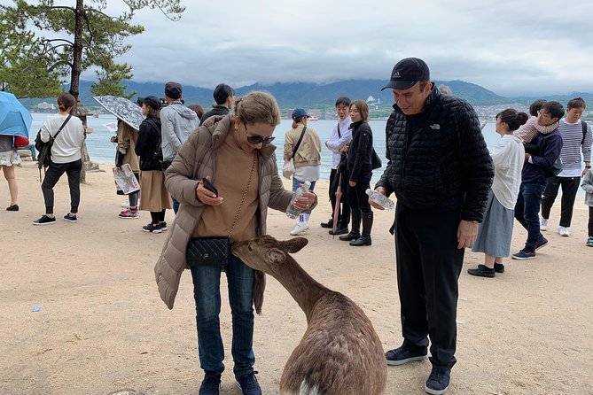 Miyajima Half-Day Private Tour With Government Licensed Guide - Booking and Preparation Essentials