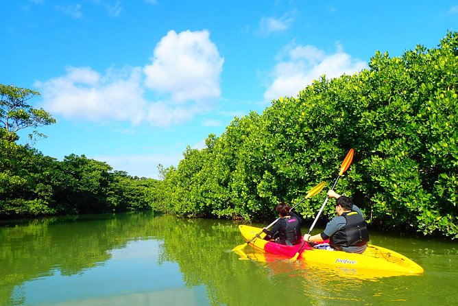 Miyara River 90-Minute Small-Group SUP or Canoe Tour  - Ishigaki - Essential Tour Information