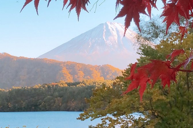 Mount Fuji Area Private Muslim–Friendly Tour From Tokyo - Booking and Availability Check