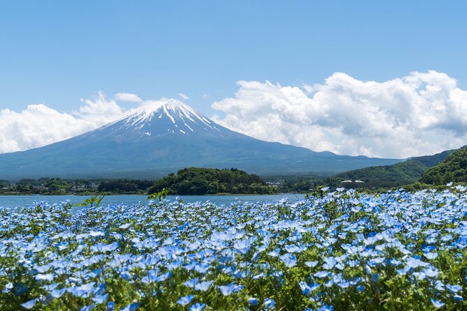 Mt. Fuji Day Trip Bus Tour From Tokyo - Important Policy Information