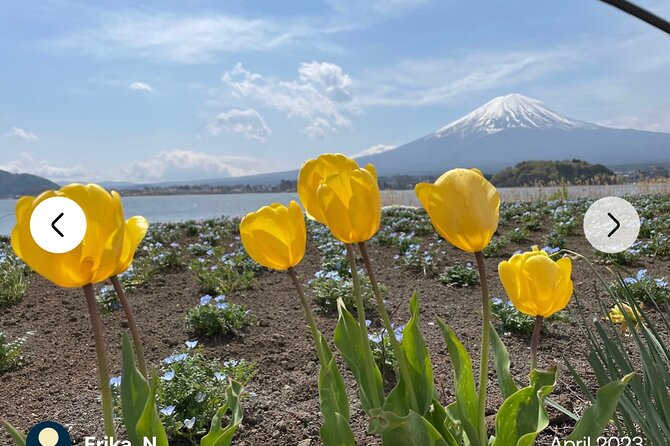 Mt. Fuji, Hakone Full-Day Private Tour With English Driver Guide - Private Tour Benefits