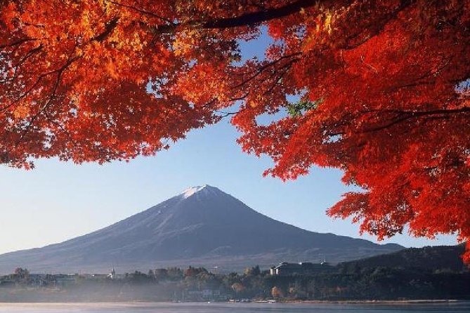 Mt Fuji, Hakone, Lake Ashi Cruise 1 Day Bus Trip From Tokyo - Booking and Cancellation Policy