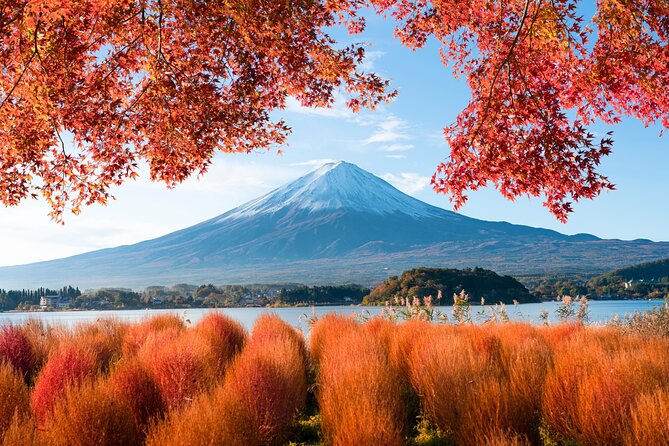 Mt. Fuji Private Full-Day Tour From Tokyo With Hotel Transfers  - Asakusa - Safety and Accessibility Features