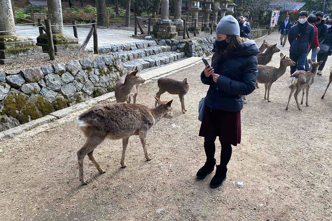 Nara Full-Day Private Tour With Government-Licensed Guide - Tour Logistics and Essentials