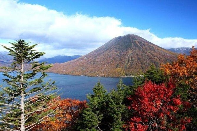 Nikko Full-Day Private Tour With Government-Licensed Guide - Tourist Reviews and Recommendations